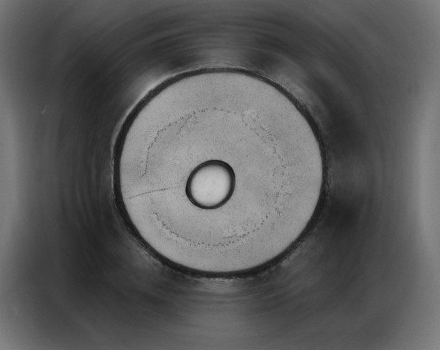 X0000087000836200704161522
