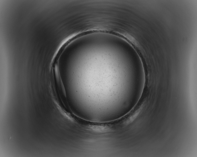 X0000087000838200704161522