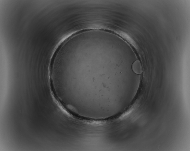 X0000087000839200704161522