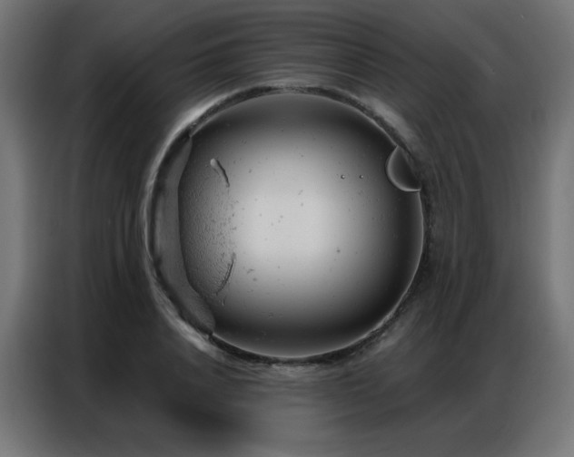 X0000087000840200704161522