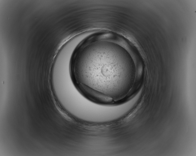 X0000087000842200704161522