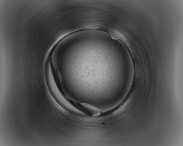 X0000087000843200704161522