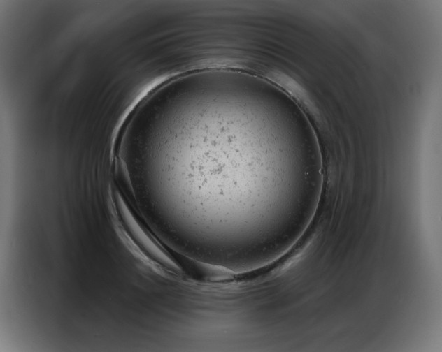 X0000087000844200704161522