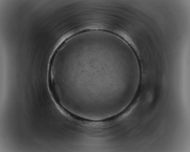 X0000087000845200704161522