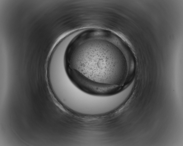 X0000087000846200704161522