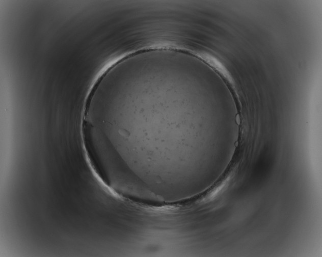 X0000087000847200704161522