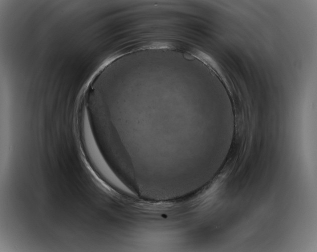 X0000087000851200704161522