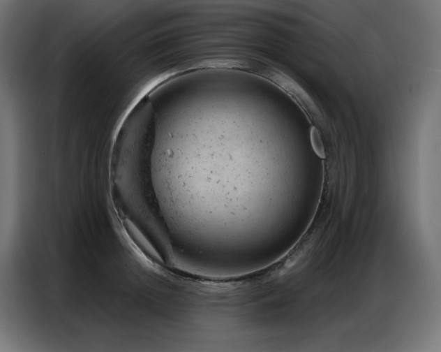 X0000087000852200704161522
