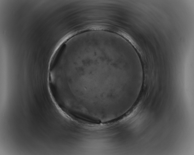 X0000087000853200704161522