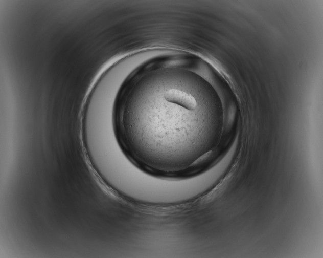 X0000087000854200704161522