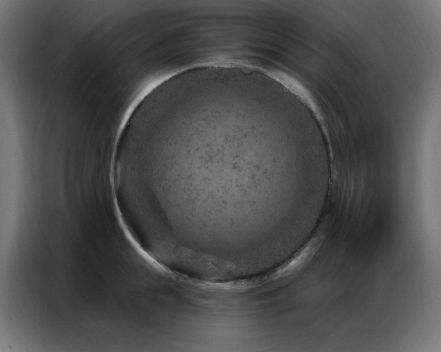 X0000087000855200704161522