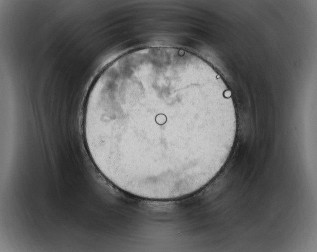 X0000087000856200704161522