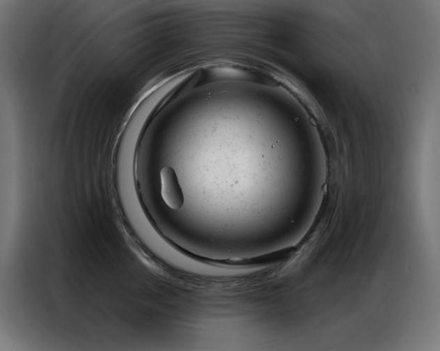 X0000087000858200704161522
