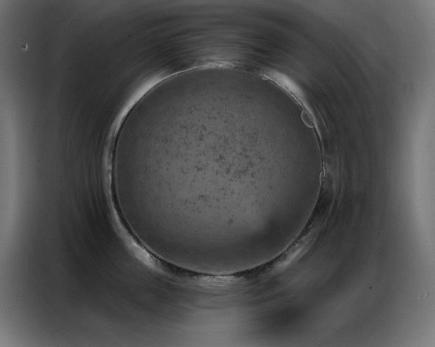 X0000087000859200704161522