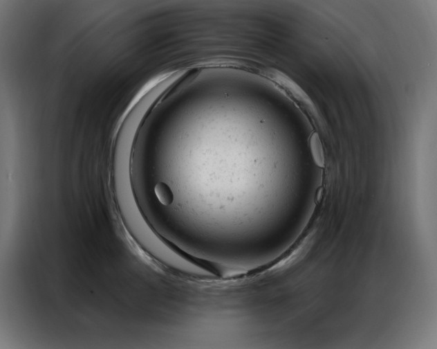 X0000087000860200704161522