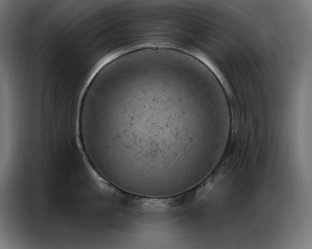 X0000087000861200704161522
