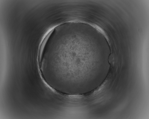 X0000087000863200704161522