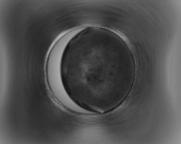 X0000087000864200704161522