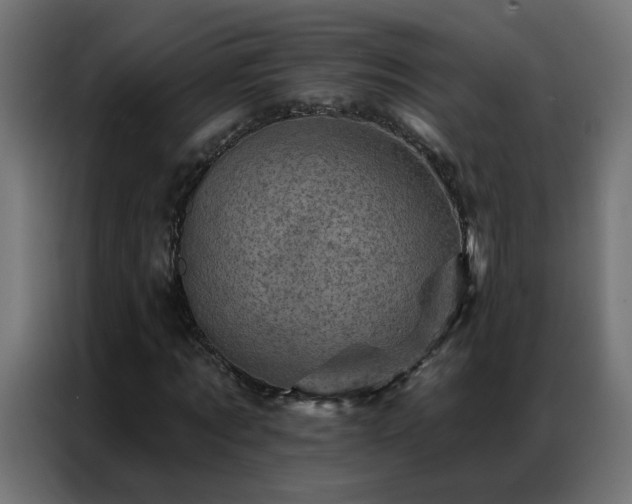 X0000087000869200704161522