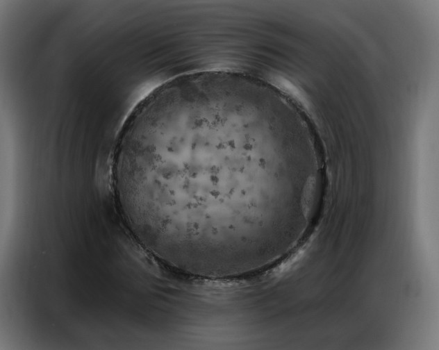 X0000087000875200704161522