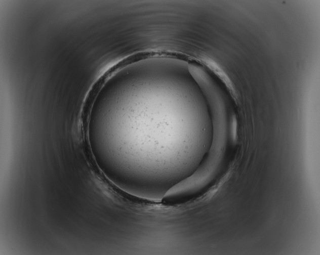 X0000087000876200704161522