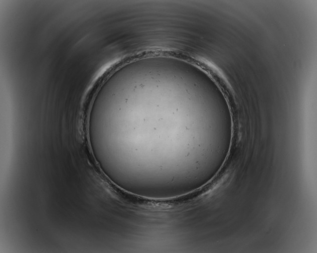 X0000087000878200704161522