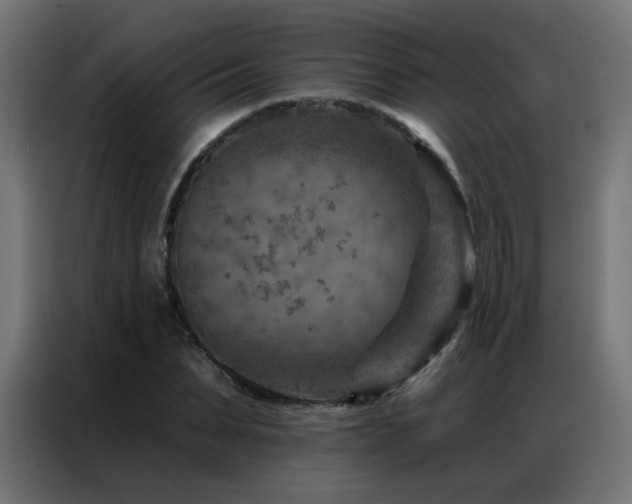 X0000087000879200704161522