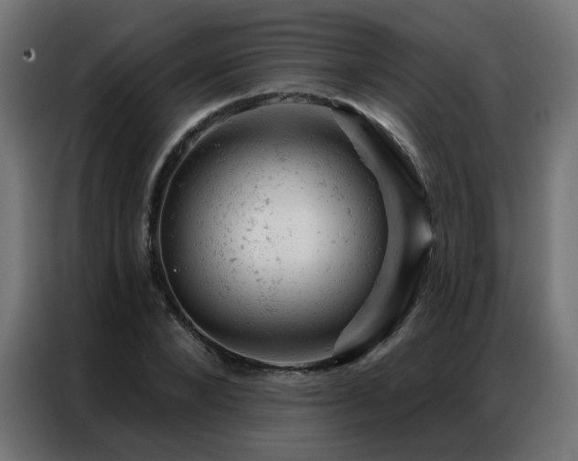 X0000087000880200704161522