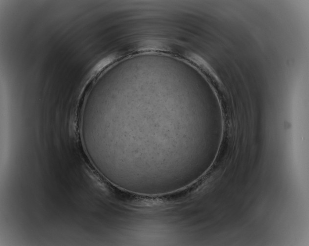 X0000087000882200704161522
