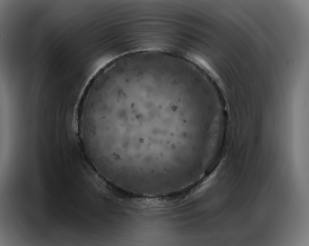 X0000087000883200704161522