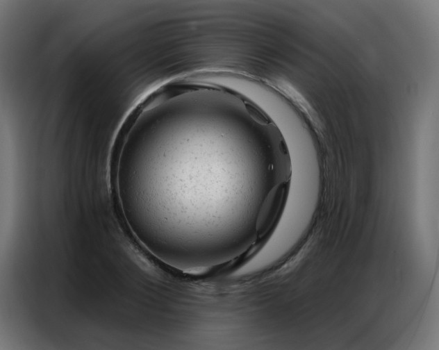 X0000087000884200704161522