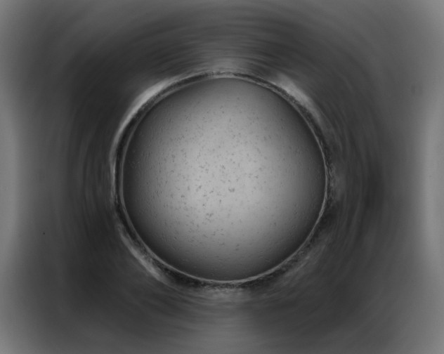 X0000087000886200704161522
