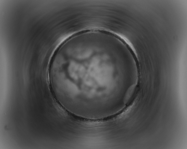 X0000087000887200704161522