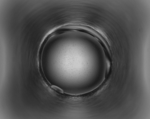 X0000087000888200704161522