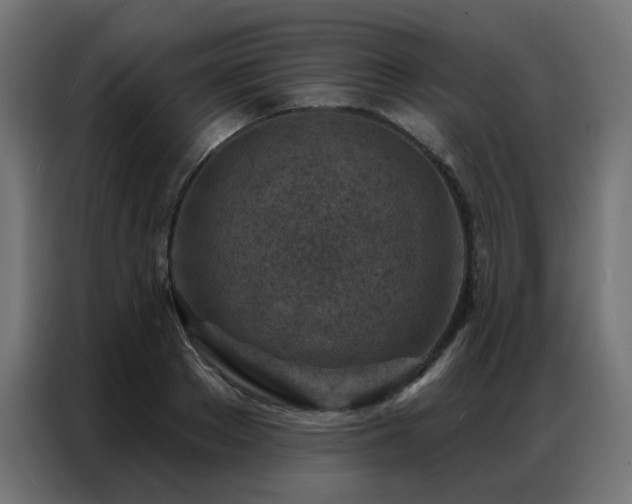 X0000087000889200704161522