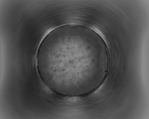 X0000087000891200704161522