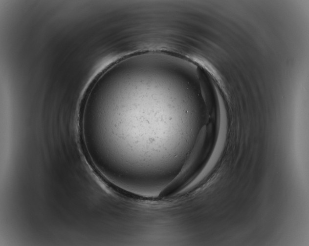 X0000087000894200704161522