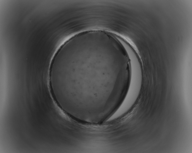 X0000087000895200704161522