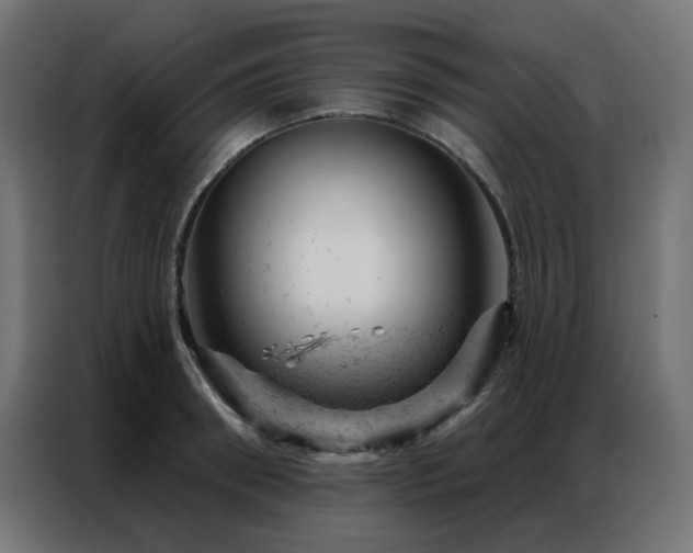 X0000087000898200704161522