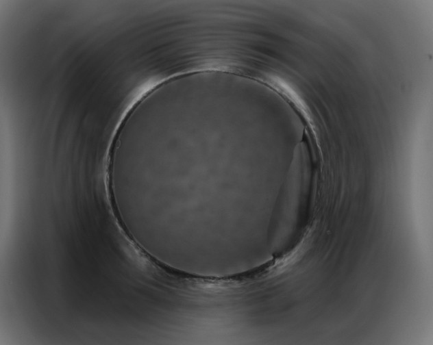X0000087000899200704161521