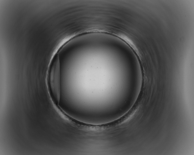 X0000087000901200704161521