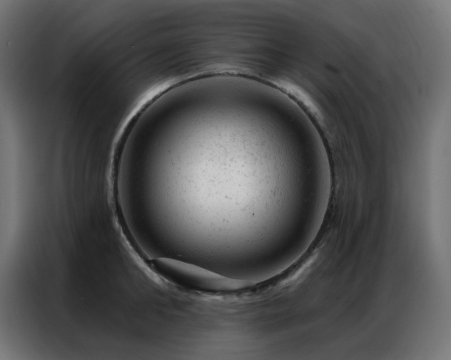 X0000087000902200704161521