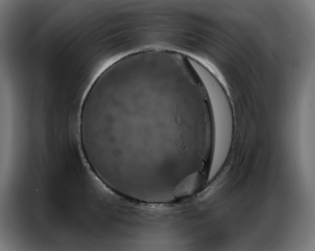 X0000087000903200704161521