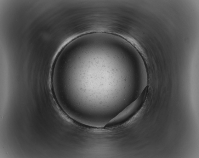 X0000087000904200704161521