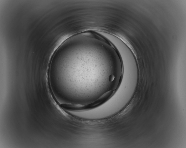 X0000087000906200704161521