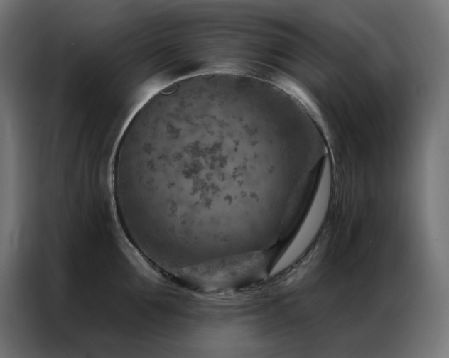 X0000087000907200704161521