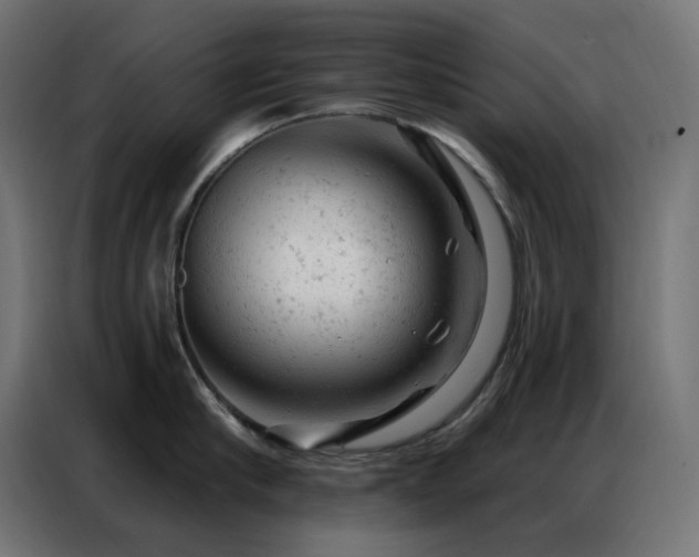 X0000087000910200704161521