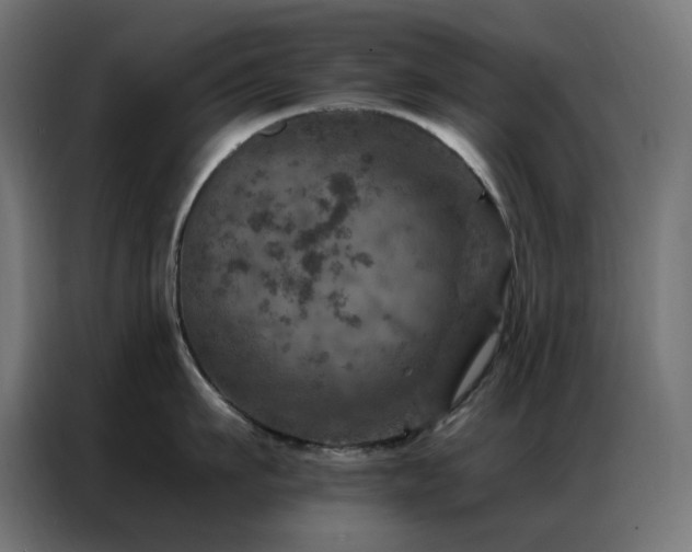 X0000087000911200704161521