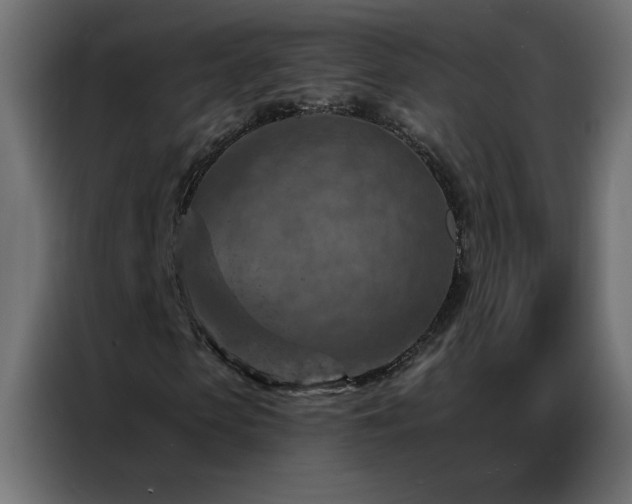 X0000087000913200704161521