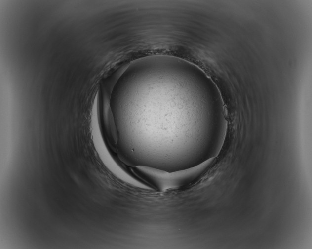 X0000087000916200704161521